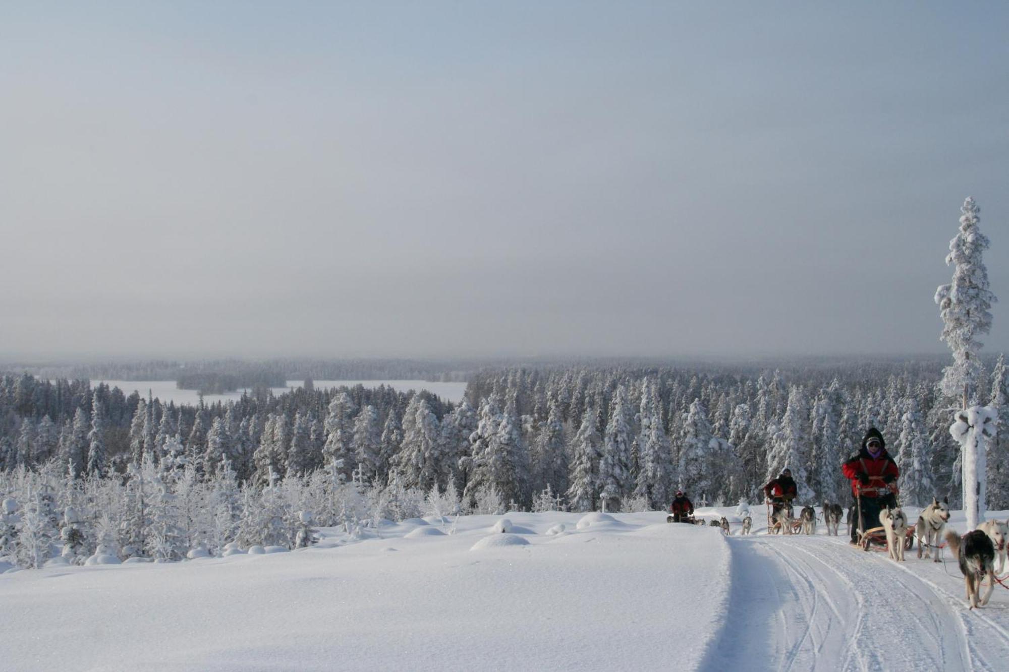 Saija Lodge Jokijärvi Buitenkant foto